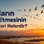 Kuşların Göç Etmesinin sebepleri nelerdir?
